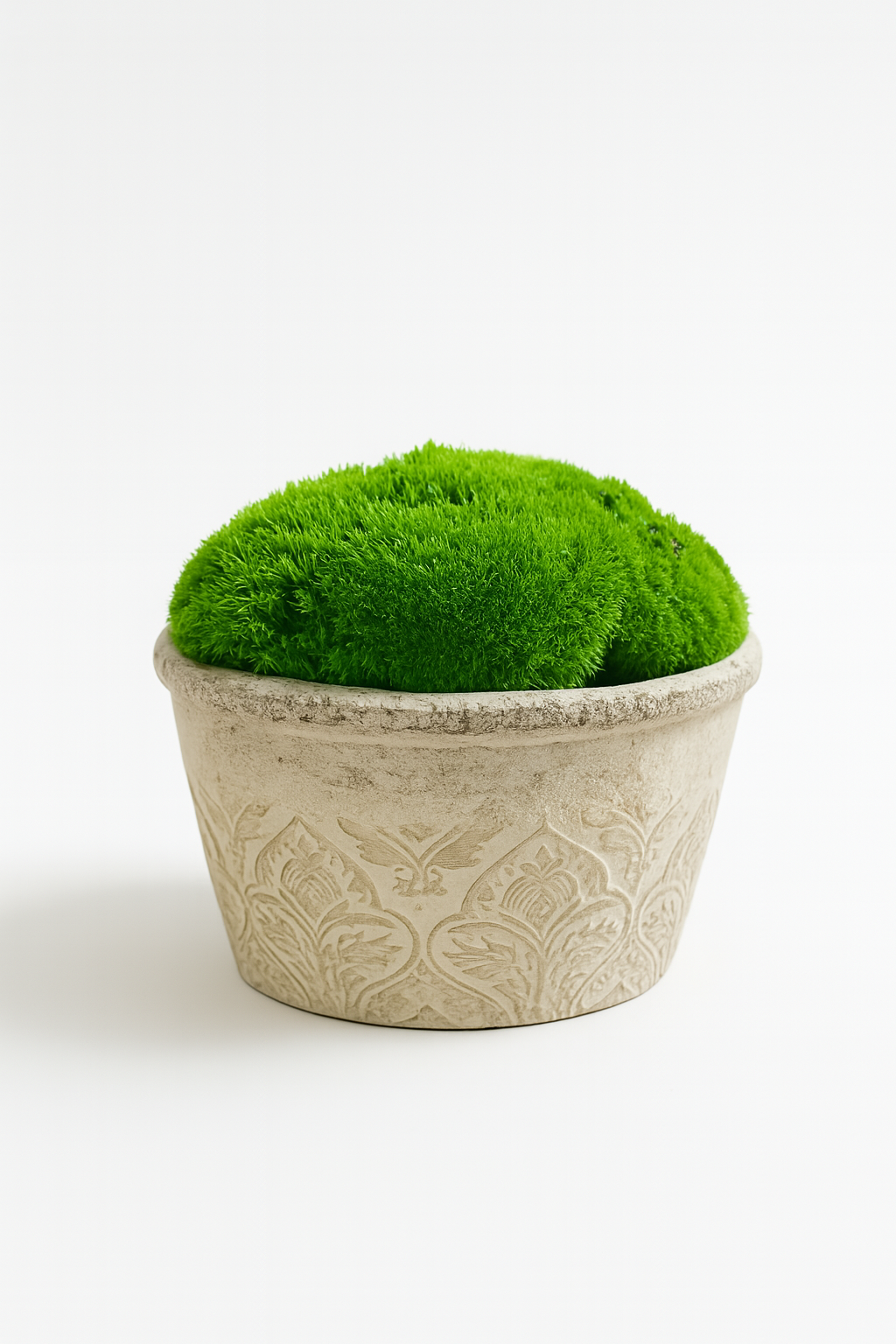 Preserved Moss In ceramic Baroque Planter Pot Light Grey