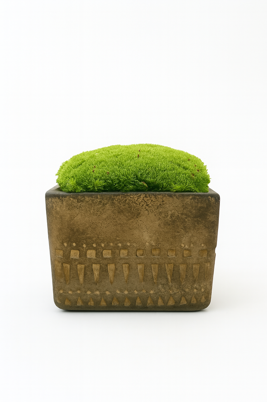 Preserved moss In Cement Totem cube planter White/Beige/Grey Multicolour