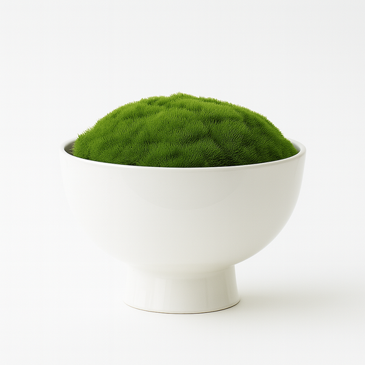 Preserved Moss In Ceramic Botany Bowl White
