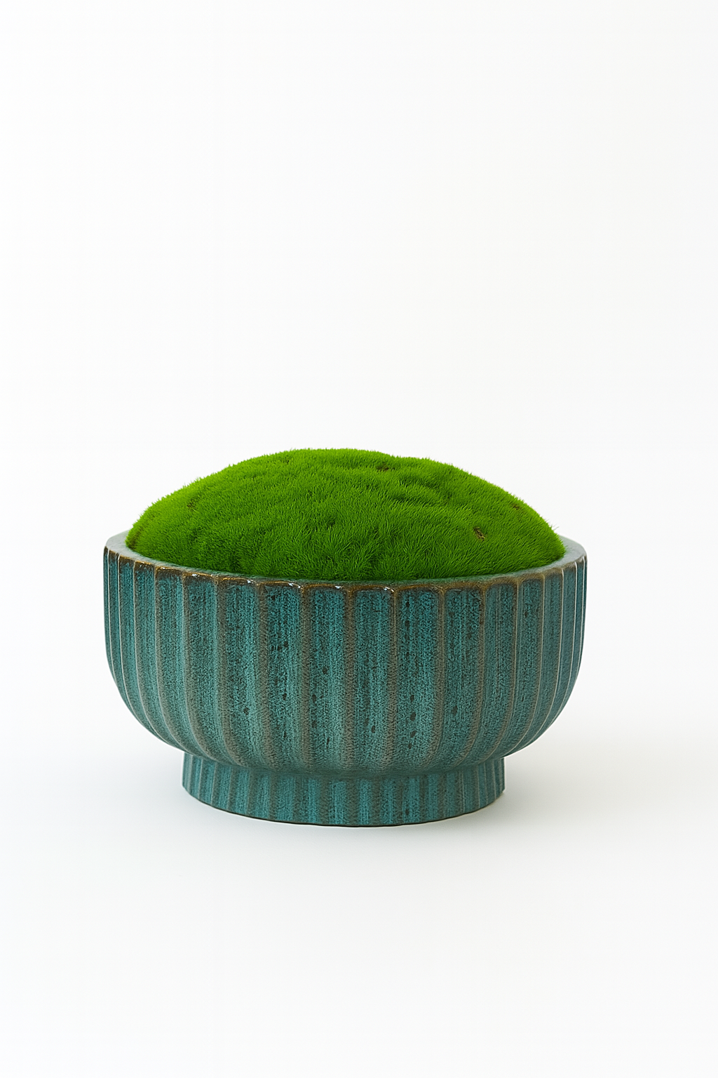 Preserved Moss In Ceramic Barcelos Pot Blue/Brown Multicolour