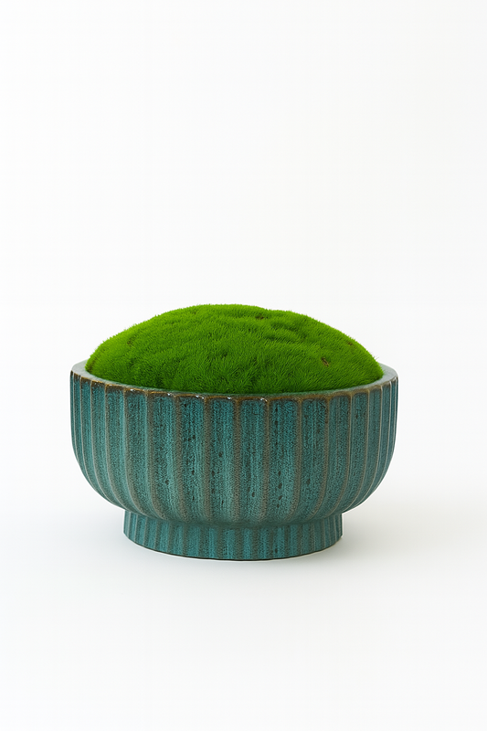 Preserved Moss In Ceramic Barcelos Pot Blue/Brown Multicolour