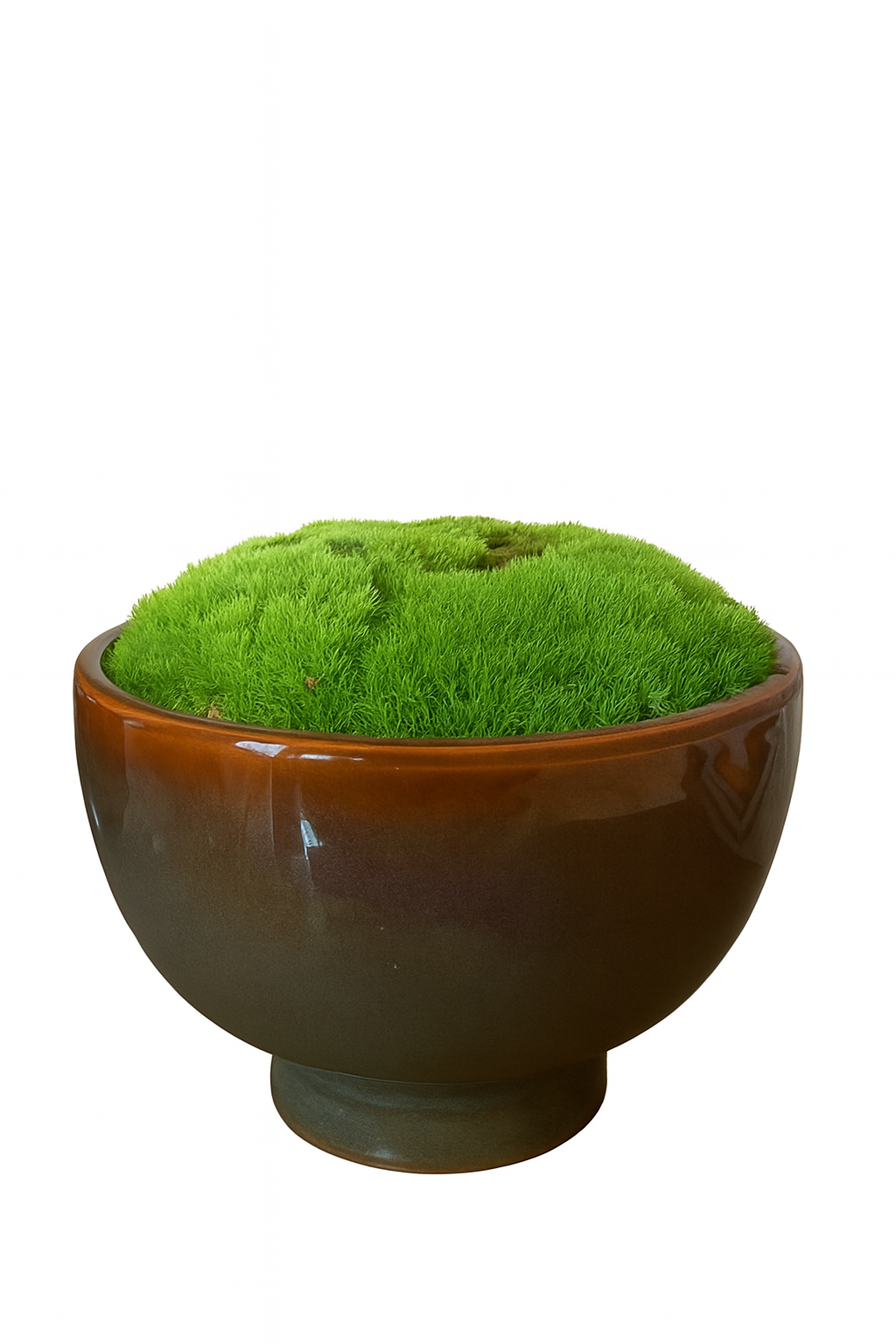 Preserved Moss In Ceramic Botany Bowl Brown/Blue/Green Multicolour