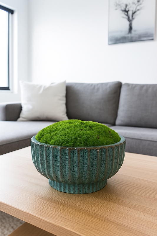 Preserved Moss In Ceramic Barcelos Pot Blue/Brown Multicolour