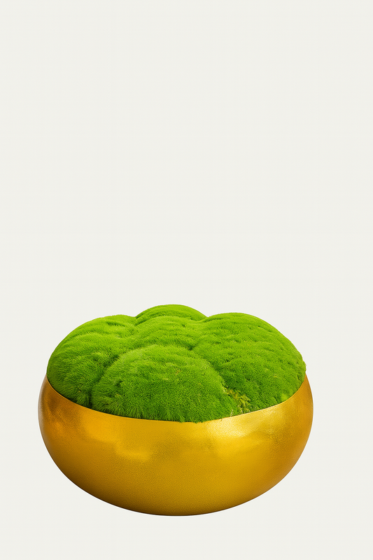 Extra large Preserved Moss In Mayfair Bowl Gold