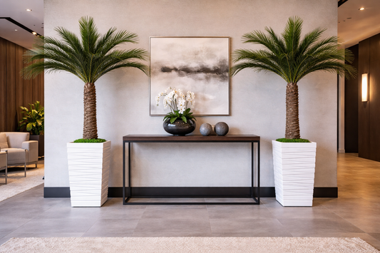 Preserved Natural Phoenix Palm Tree (Non Plastic)