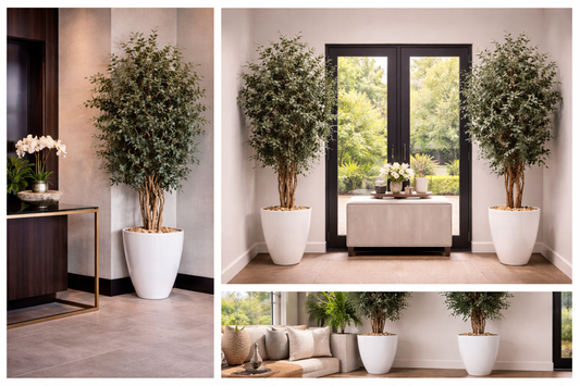 Preserved Natural Populus Plant Slim (Non Plastic)