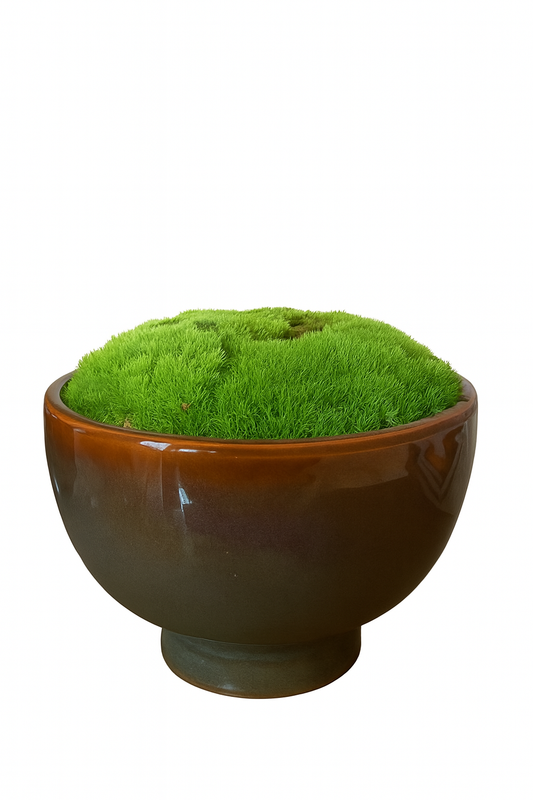 Preserved Moss In Ceramic Botany Bowl Brown/Blue/Green Multicolour